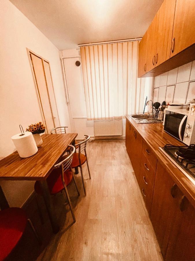 Ultracentral Big Apartment - Near The Opera Square P17 Timişoara Exterior foto