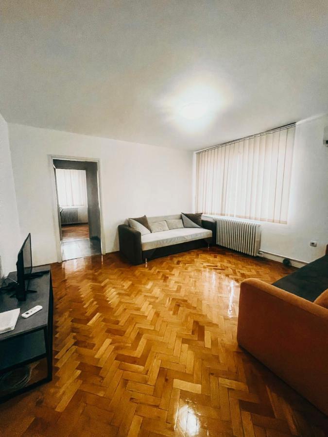 Ultracentral Big Apartment - Near The Opera Square P17 Timişoara Exterior foto