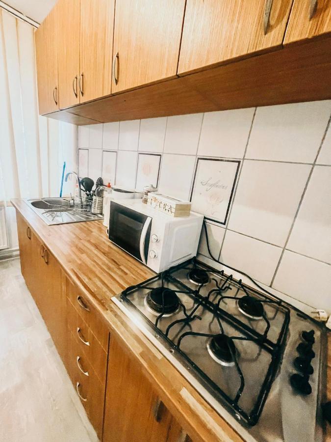 Ultracentral Big Apartment - Near The Opera Square P17 Timişoara Exterior foto