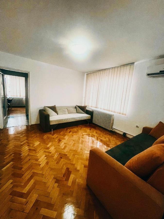 Ultracentral Big Apartment - Near The Opera Square P17 Timişoara Exterior foto