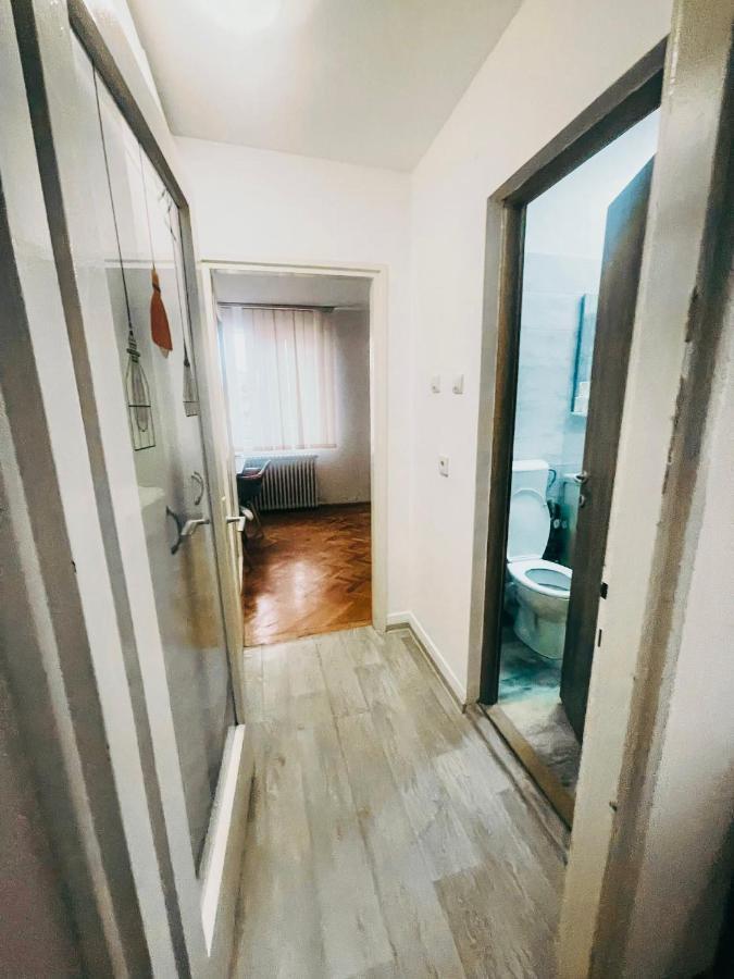 Ultracentral Big Apartment - Near The Opera Square P17 Timişoara Exterior foto
